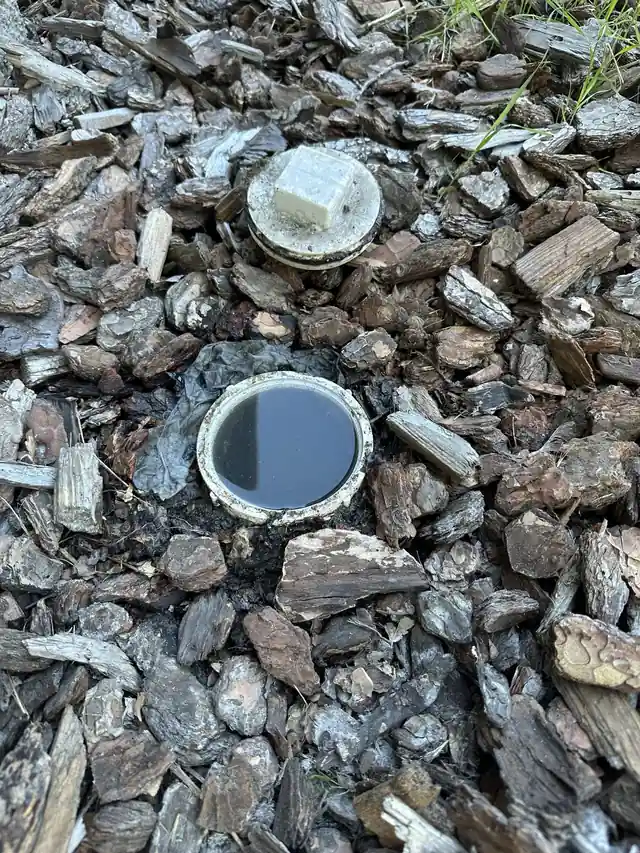 Two sewer cleanout caps in bark mulch outside a Yakima home before drain cleaning